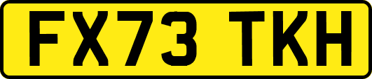 FX73TKH