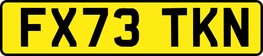 FX73TKN