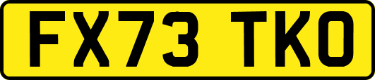 FX73TKO