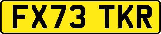 FX73TKR