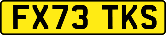 FX73TKS