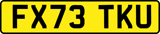 FX73TKU