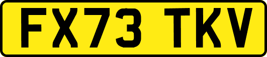 FX73TKV