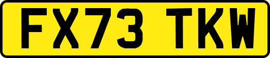 FX73TKW
