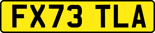 FX73TLA