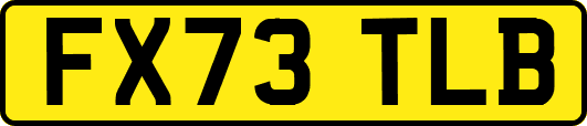 FX73TLB