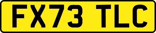 FX73TLC