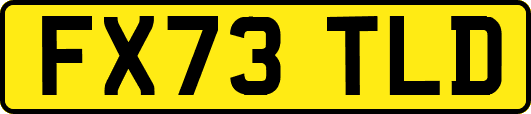 FX73TLD