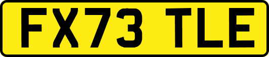FX73TLE