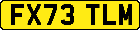 FX73TLM