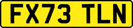 FX73TLN