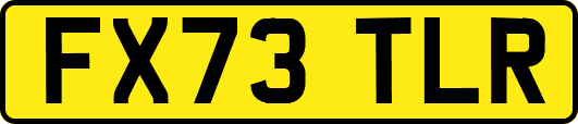 FX73TLR