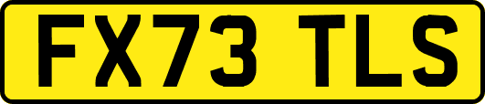 FX73TLS