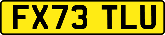 FX73TLU