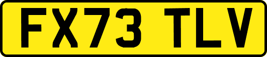 FX73TLV