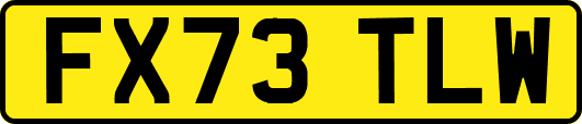 FX73TLW
