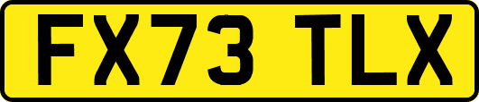 FX73TLX