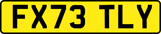 FX73TLY