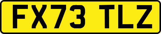 FX73TLZ