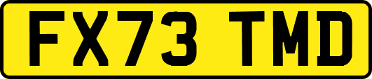 FX73TMD