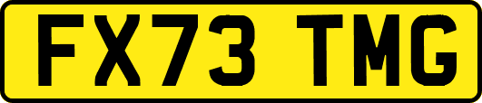 FX73TMG