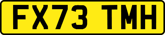 FX73TMH