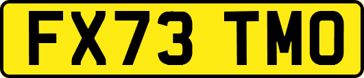 FX73TMO