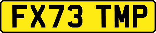 FX73TMP