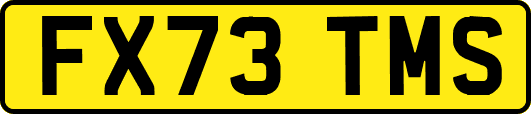 FX73TMS