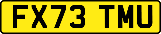 FX73TMU