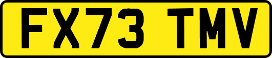 FX73TMV