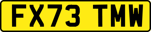 FX73TMW