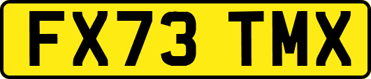 FX73TMX