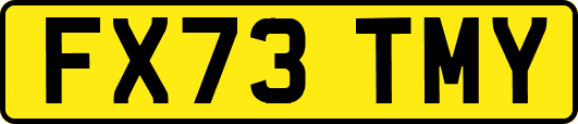 FX73TMY