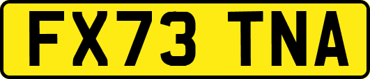 FX73TNA
