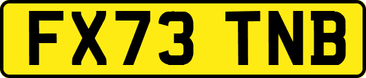 FX73TNB