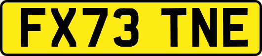 FX73TNE