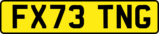 FX73TNG