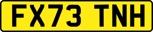 FX73TNH