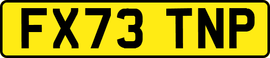 FX73TNP