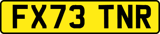 FX73TNR