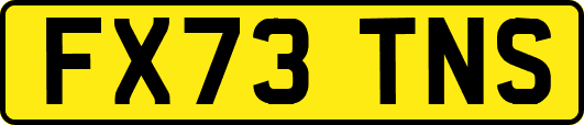 FX73TNS