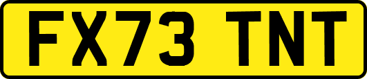 FX73TNT
