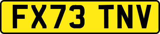 FX73TNV