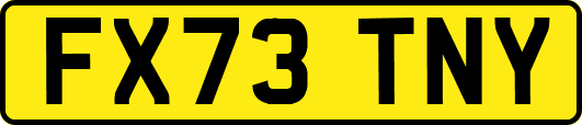 FX73TNY