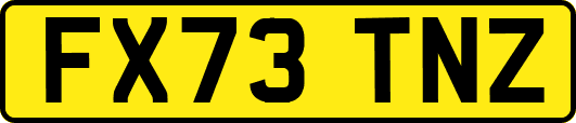 FX73TNZ