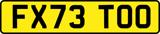 FX73TOO