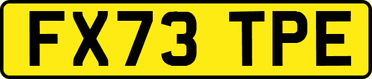 FX73TPE