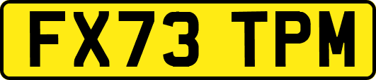 FX73TPM