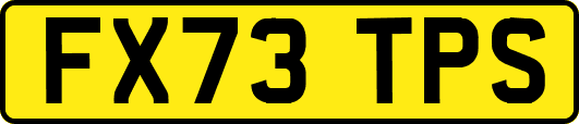FX73TPS